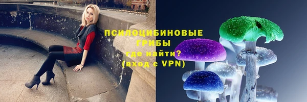 гидропоника Бугульма