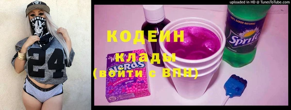 прущие крисы Бородино