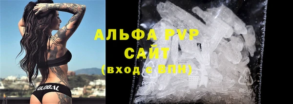 прущие крисы Бородино