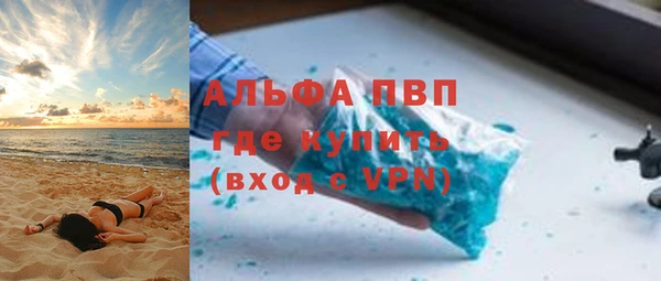 прущие крисы Бородино