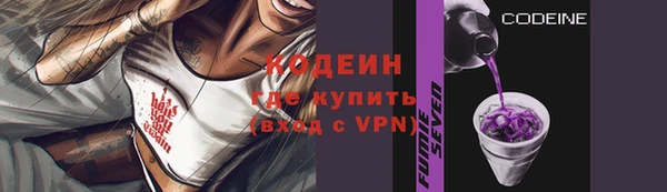 прущие крисы Бородино