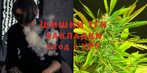 гидропоника Бугульма